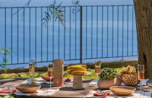 Botanica Living Magnolia Apt - Foto 14