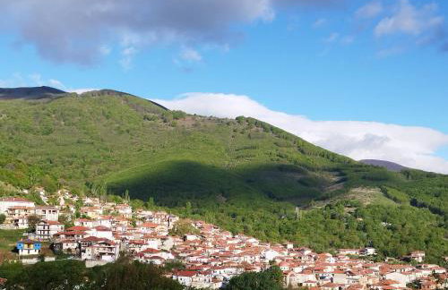 Casa Lehovo - Foto 13