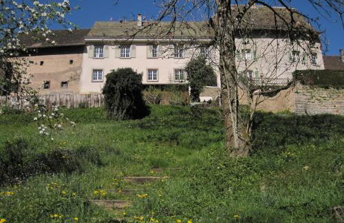La Maison des Fontaines D'alsace - Foto 116