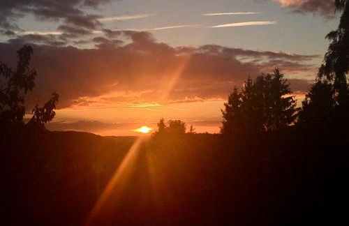 Haagalm Terrasse, Garten - Foto 39