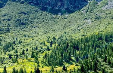 La Casa di Mares - Ski, Bike&Hike - Foto 42