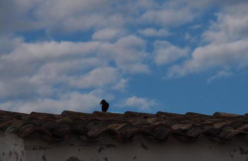 Stazzu Giasti Agriturismo - Photo 62