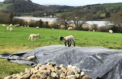 Holiday Home Rivers Reach by Interhome - Foto 33