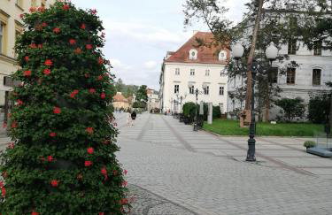 Apartament Zielone Wzgórze 3 - Foto 35