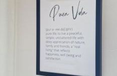 Pura Vida - Photo 17