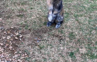 Mini-villa 1 MER - Foto 48