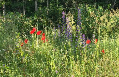 LICHTECK - Helle Ferien - Foto 26