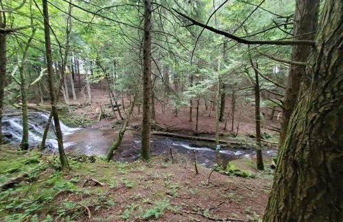 Pleasant Brook Cottage - Foto 15