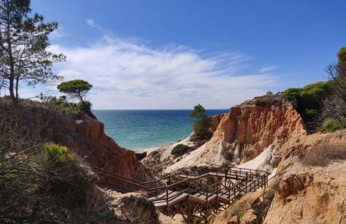 Algarve Albufeira, quiet apart with pool at 10 mn walk from Praia da Falesia - Foto 23