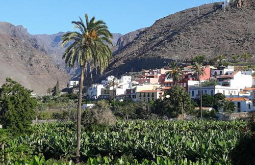 Los Olivos - Foto 22