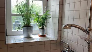 Stiftsherrenhaus - Foto 4