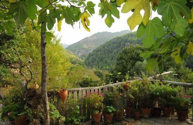 Masía La Posada del río Carbo - Photo 46