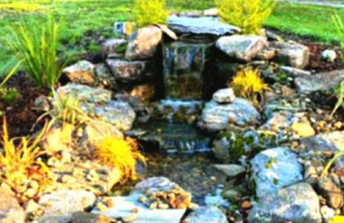 Secluded Tiny House by the Marsh with Hunting Island Beach Pass - Foto 16