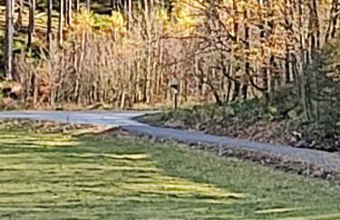 Gasthaus Piesau - Thüringer Wald - Rennsteig - Foto 54