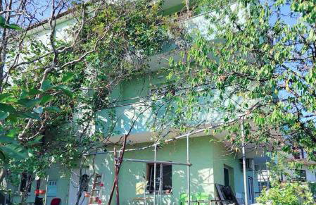 Green house - Foto 1