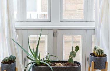 The QUEEN's Designer Apartment by Cadiz4Rentals - Foto 19