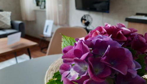 Meerhuuske Käthe - Foto 4