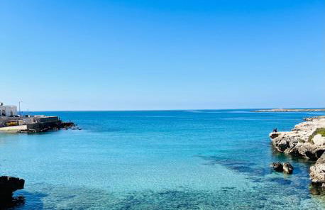 Tanza in Vetrina 2024 - Foto 49