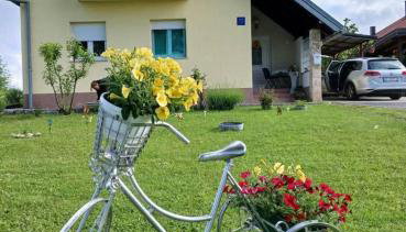 Yellow Rose - Foto 5, Garden view