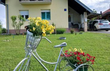 Yellow Rose - Foto 5