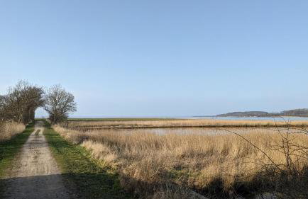 Holtdeel - Foto 29