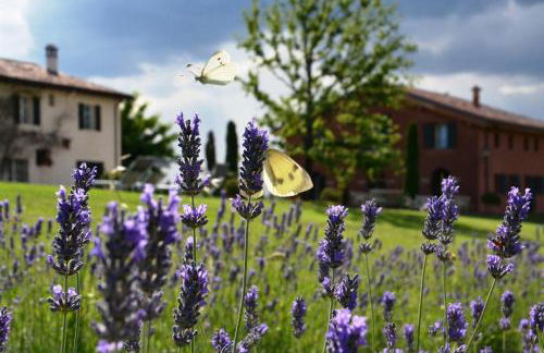 B&B Cà Bianca dell'Abbadessa - Foto 53