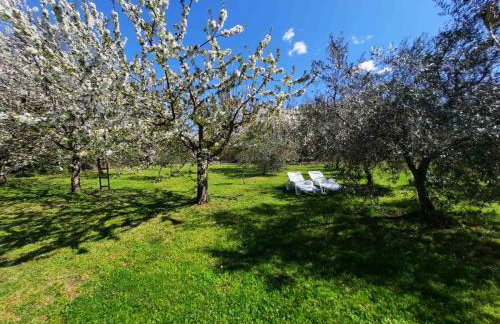 House in Nature - Foto 19