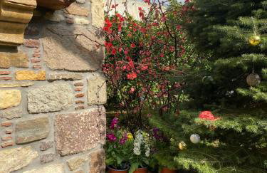 ''The Stone'' - Photo 24