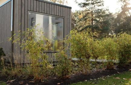 bluestar apartments am Storkower See inkl Badesteg und Gartensauna - Foto 32