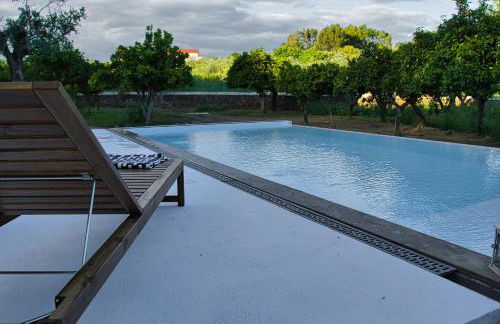 Monte Alecrim - Foto 5