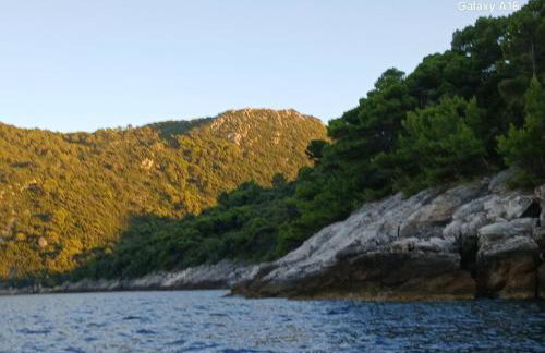 Apartments Nadine Mljet Komfort mit Meerblick - Foto 33