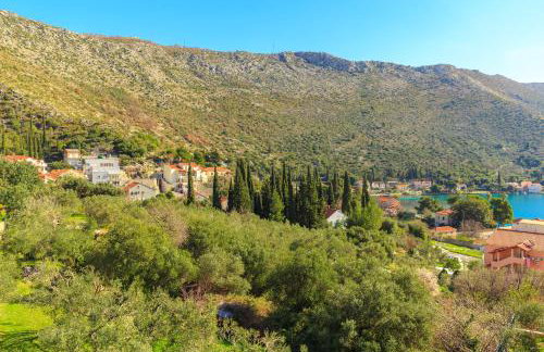 Apartment Zaton - Photo 7