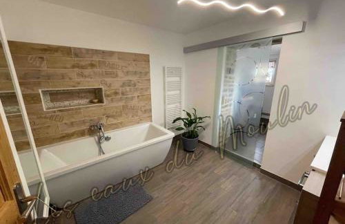 Gîte Les Eaux du Moulin piscine chauffée et jacuzzi - Foto 62