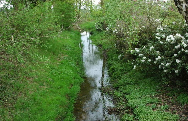 Cozy Countryside Getaway - Foto 40