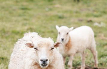 Le Logis Du Prieure - Photo 44