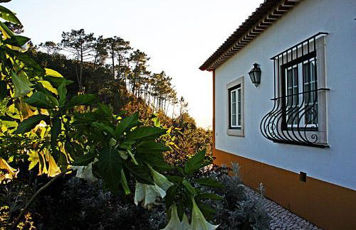 Quinta Da Torre - Óbidos Country House - Foto 30