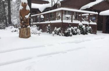 Uncle Grizz's Cabin...get intouch with nature - Foto 11