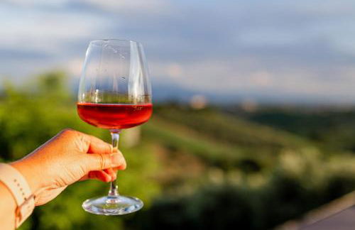 Villa SAlice piano Terra - Foto 34