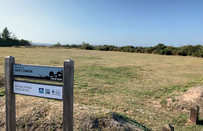 Summer by the Harbour - Foto 30