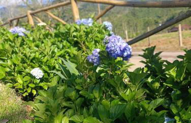 Chalés Flor do Caparaó em Patrimonio da Penha - Foto 27