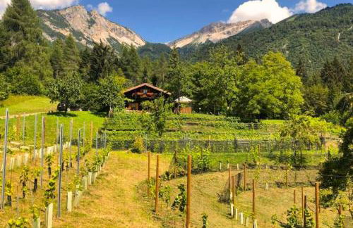 Chalet Relax Tra Le Vigne - Foto 8