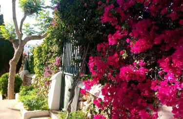 Vallibre apartments - Foto 10