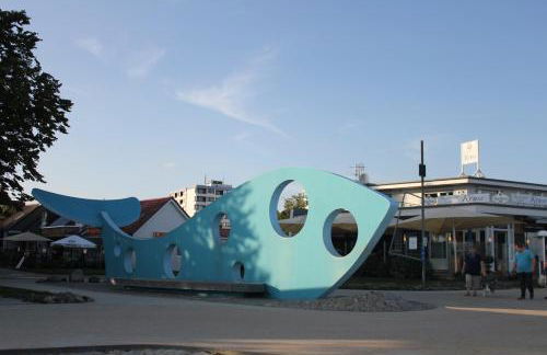 Silbermöwe im Kirschgarten - Foto 25