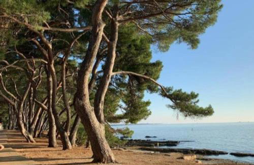 Excellent studio MIA - Foto 1