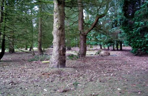 Beautiful cottage in Brentwood - Foto 50