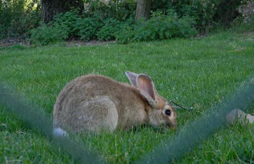 Azienda Agrituristica Colle San Giorgio - Foto 54