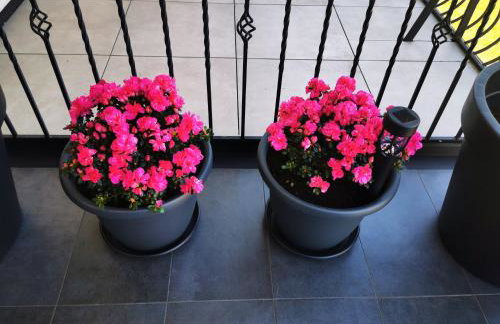 Apartament Górski Potok Murzasichle Apartamenty Murzasichle PL - Foto 79