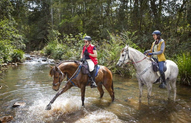 Marmari Horseback Riding - Foto 4