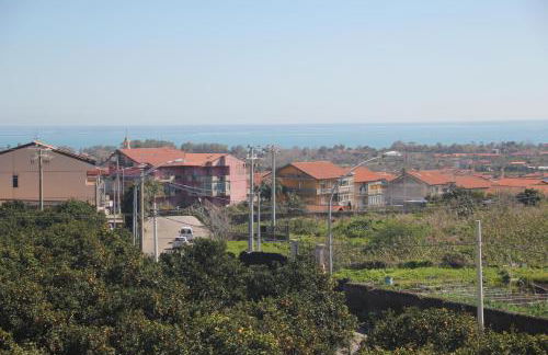 aranceto dell'Etna - Foto 50