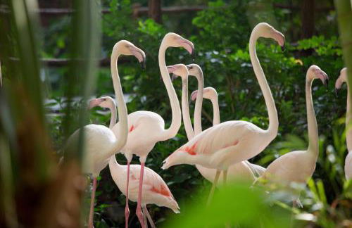 Tropical Islands Resort - Foto 73